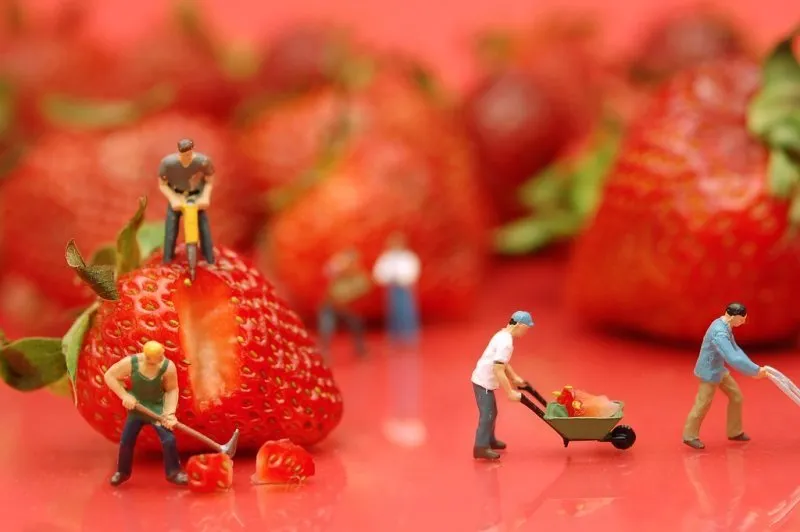 Berries/Small Fruit category