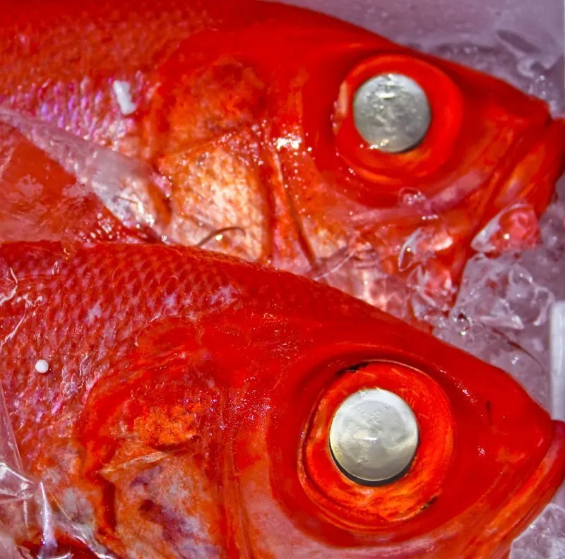 Frozen Fish/Seafood category