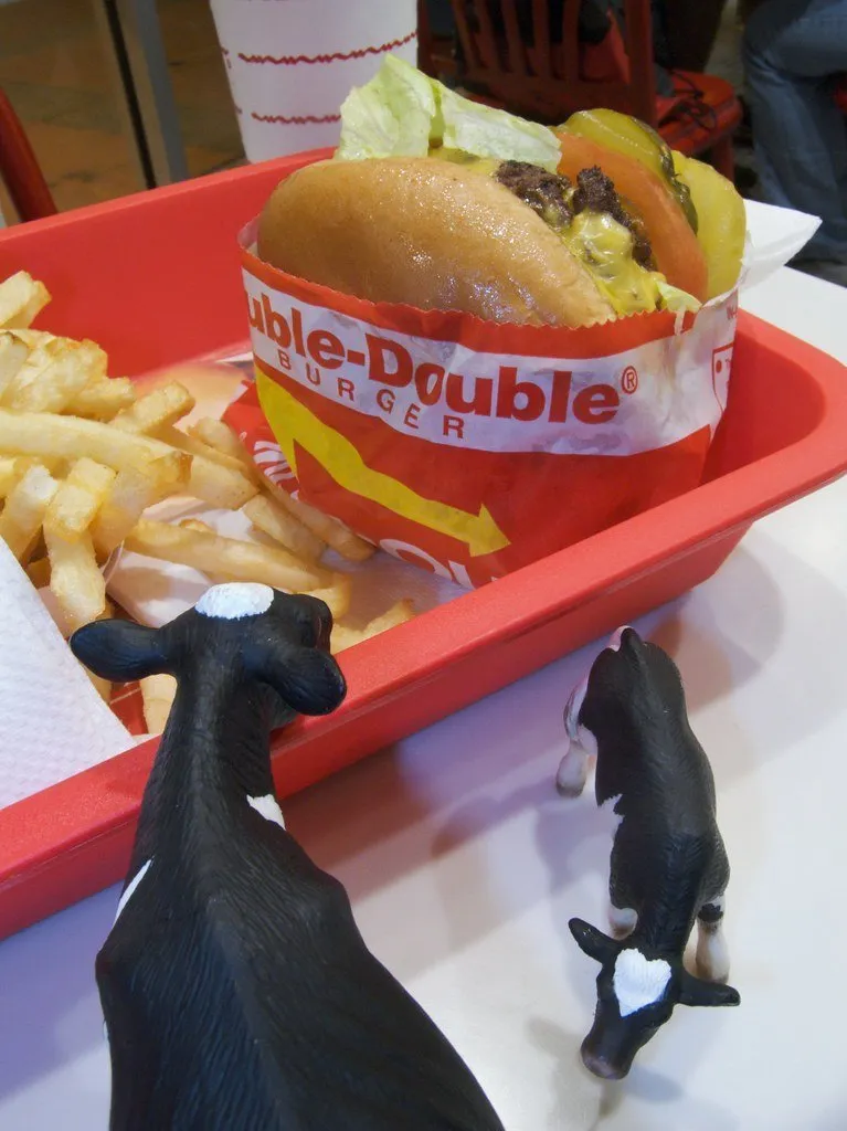 Frozen Patties and Burgers category