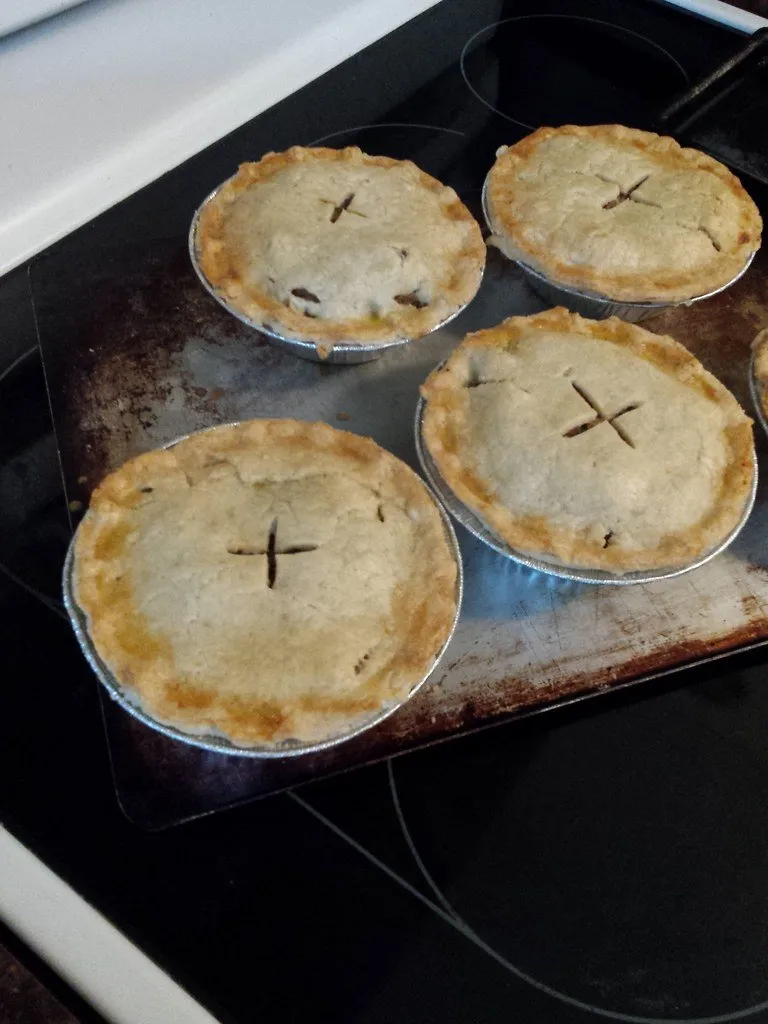 Frozen Pies/Savouries category