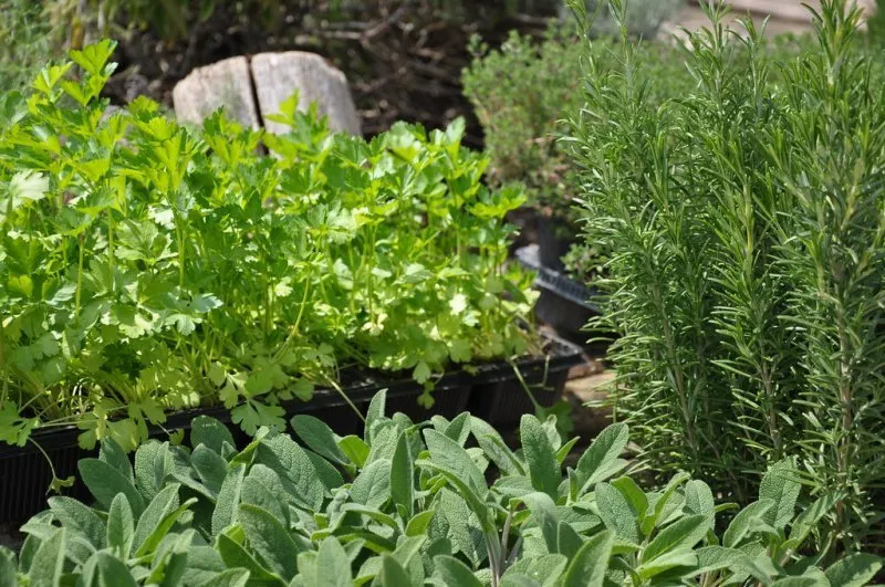 Gardening category
