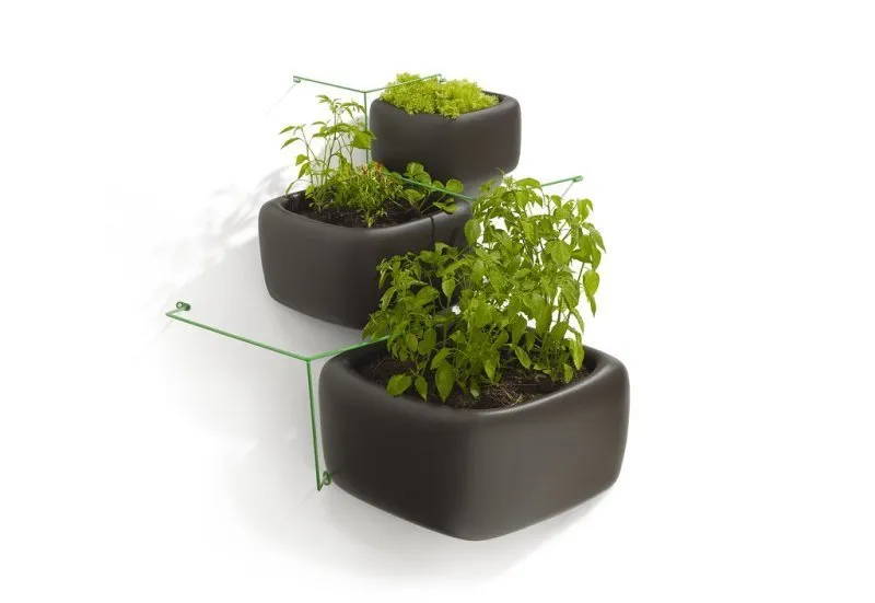 Herbs/Spices (Shelf Stable) category
