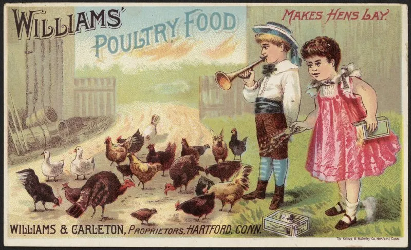 Poultry Products