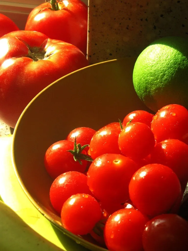 Tomatoes category